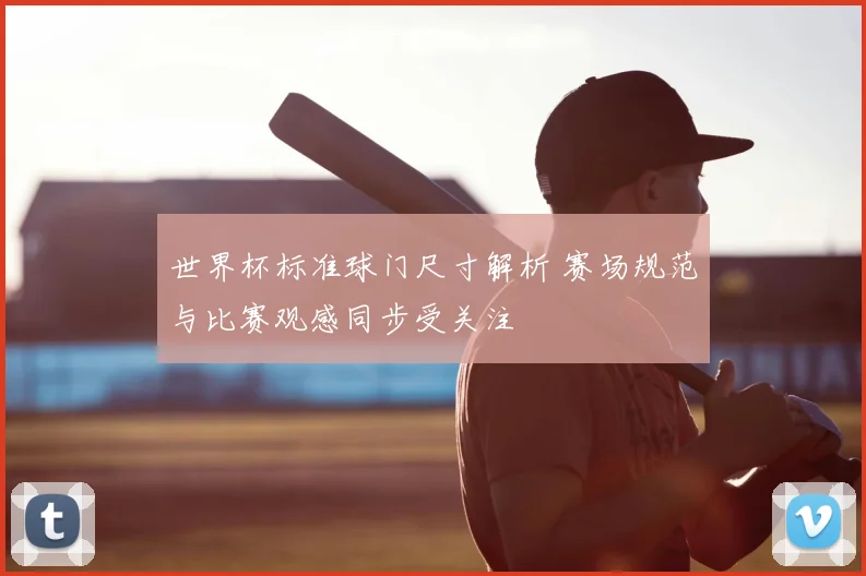 世界杯标准球门尺寸解析 赛场规范与比赛观感同步受关注