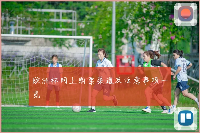 欧洲杯网上购票渠道及注意事项一览
