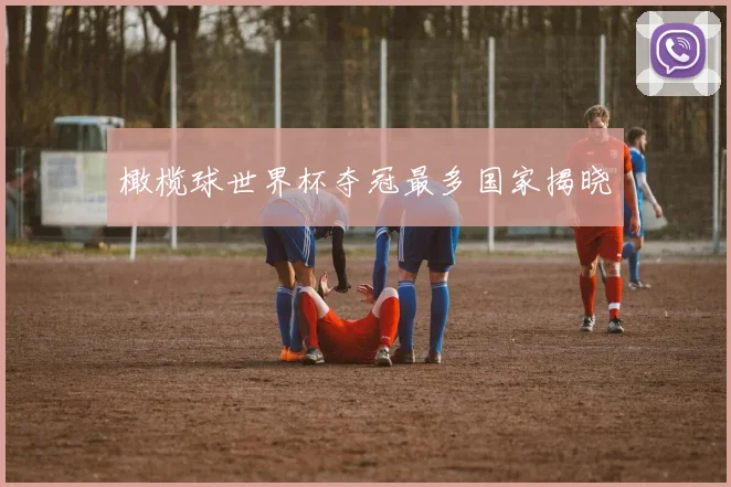 橄榄球世界杯夺冠最多国家揭晓